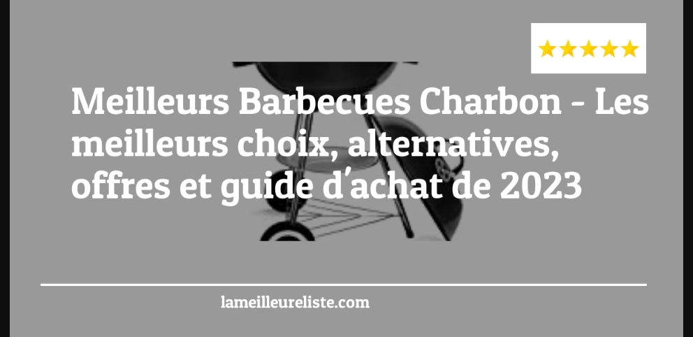 Meilleurs Barbecues Charbon