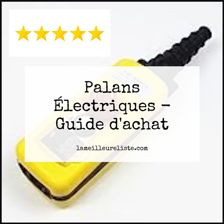 Palans Électriques - Buying Guide