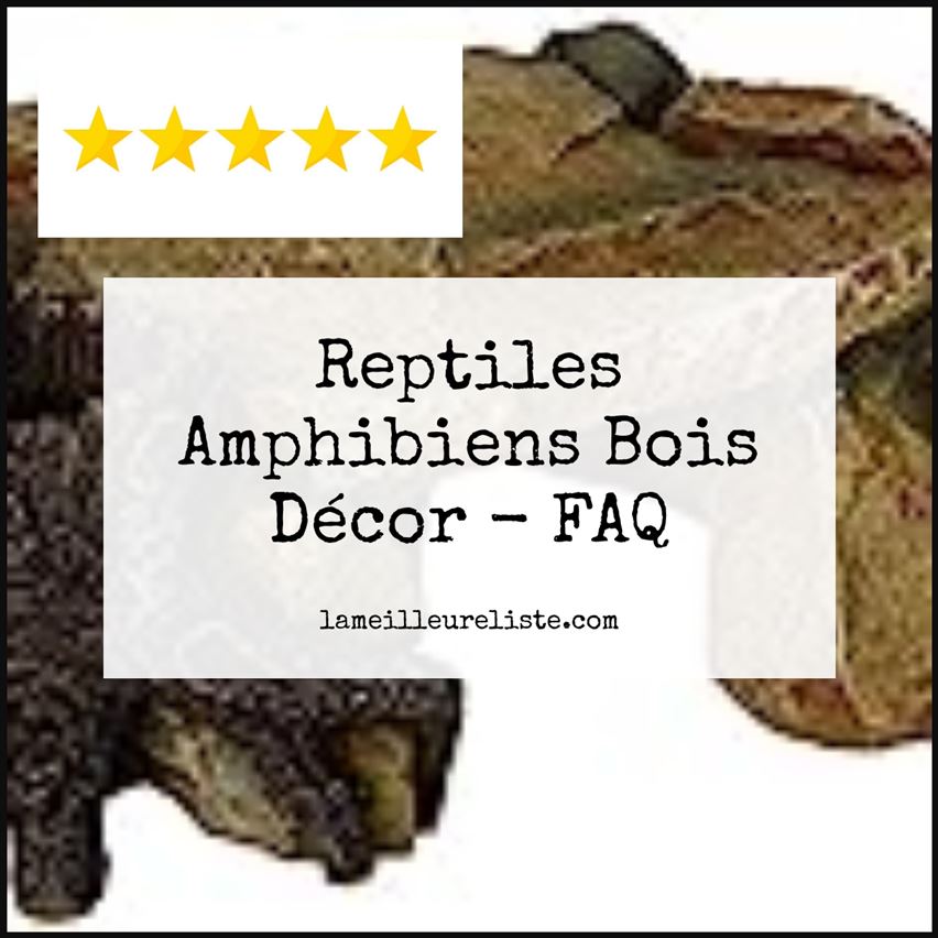 Reptiles Amphibiens Bois Décor - FAQ