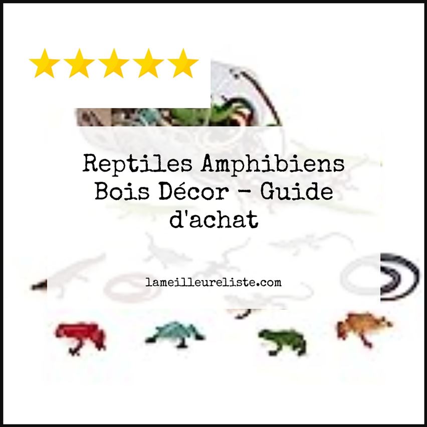 Reptiles Amphibiens Bois Décor - Buying Guide