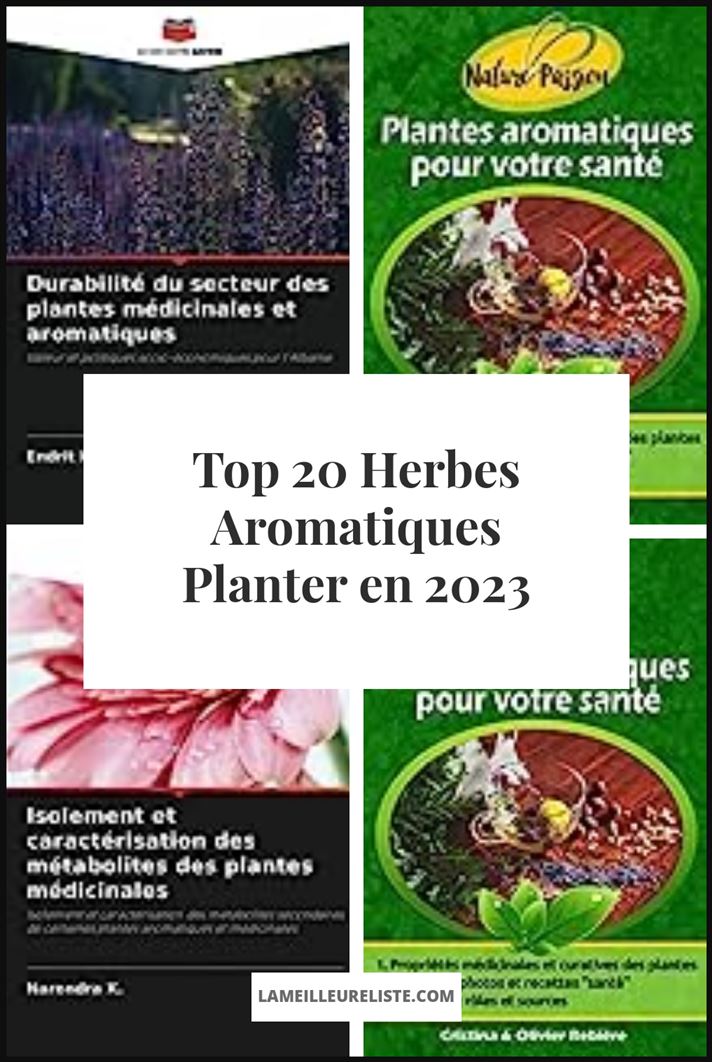 Herbes Aromatiques Planter - Buying Guide